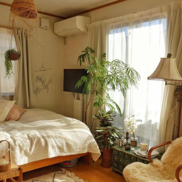 照：全屋温暖治愈一进屋就被迷住了！羡慕CQ9电子登录53岁阿姨晒出独居生活(图8)