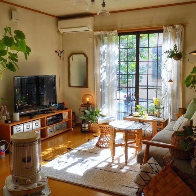 照：全屋温暖治愈一进屋就被迷住了！羡慕CQ9电子登录53岁阿姨晒出独居生活(图2)